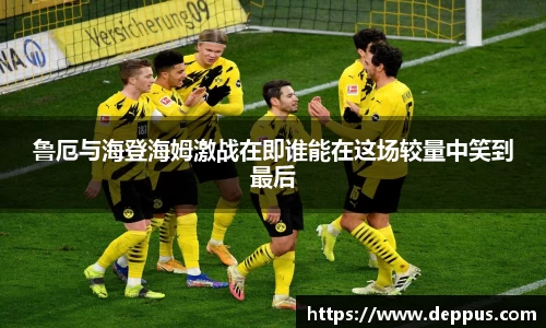 emc易倍体育官网